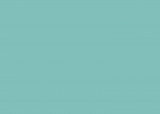 RAL 6027